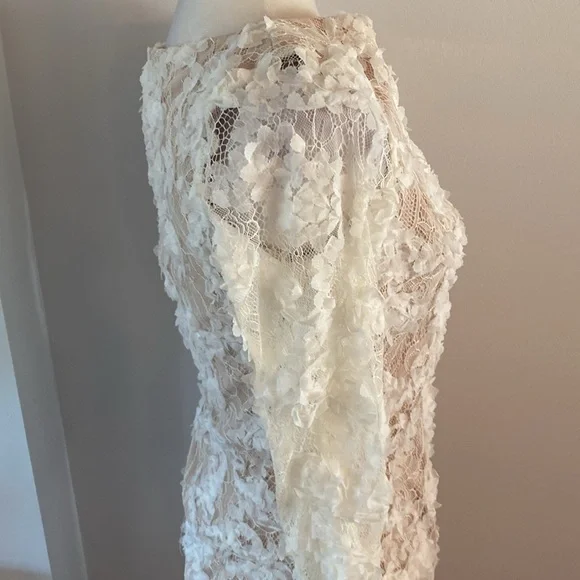 XSCAPE size 4 stunning lace dress tan lining - Picture 5 of 13